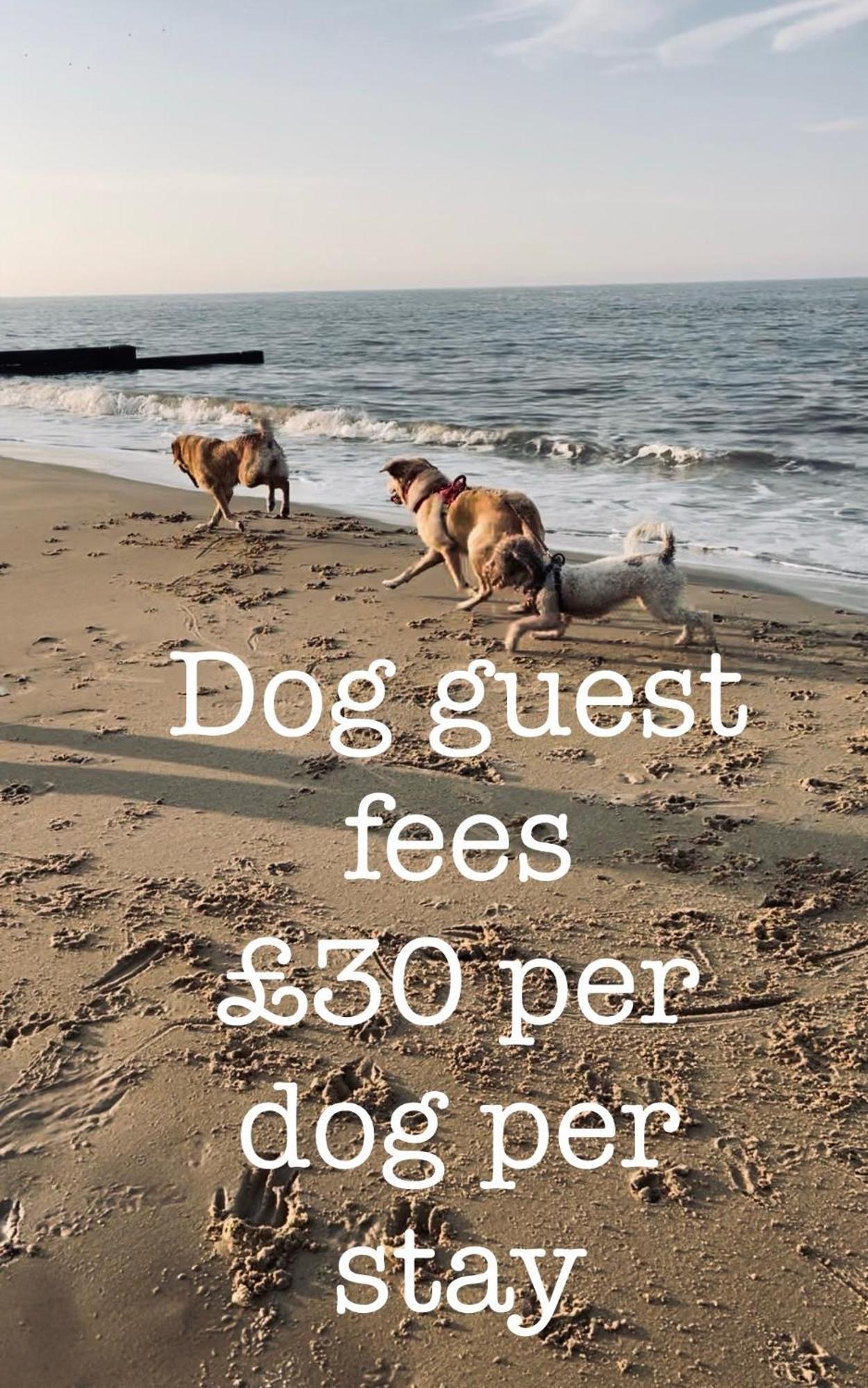 Coastal Terrace Dogs Welcome Optional Hot Tub Villa Sea Palling ภายนอก รูปภาพ